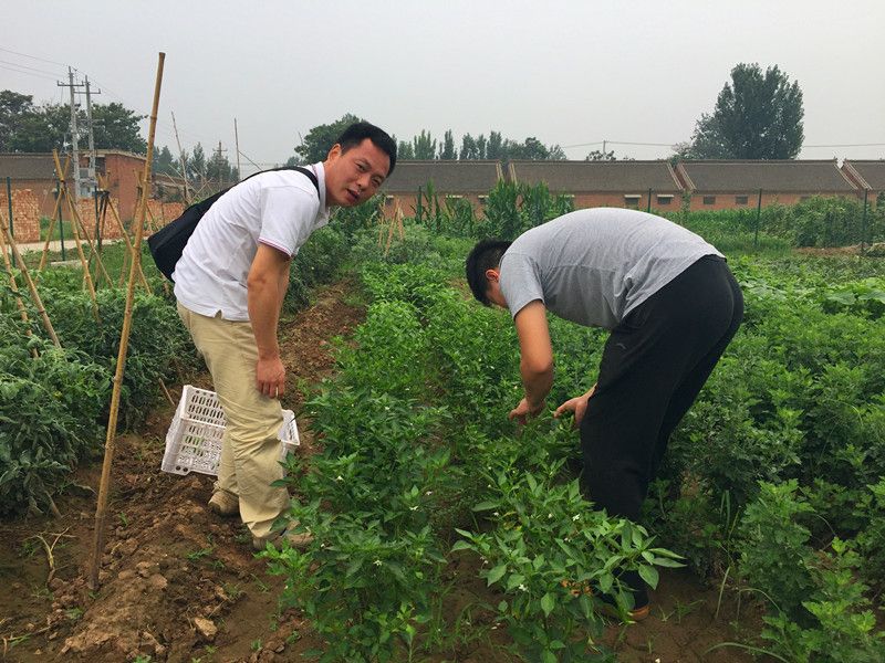 好利來郭總喊您來摘菜啦！綠色無公害，放心！